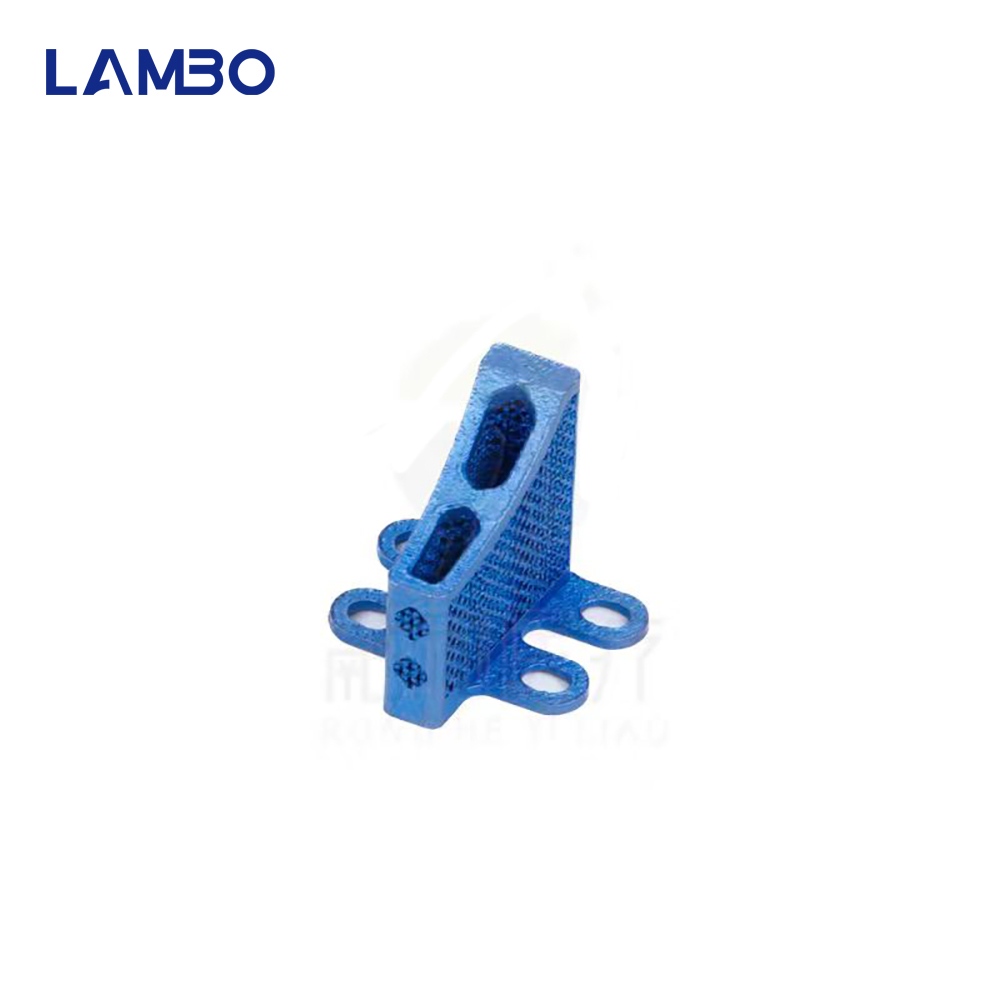 3D Printing TTA System Cage Bo - 3D Printing Orthopedics avis et prix