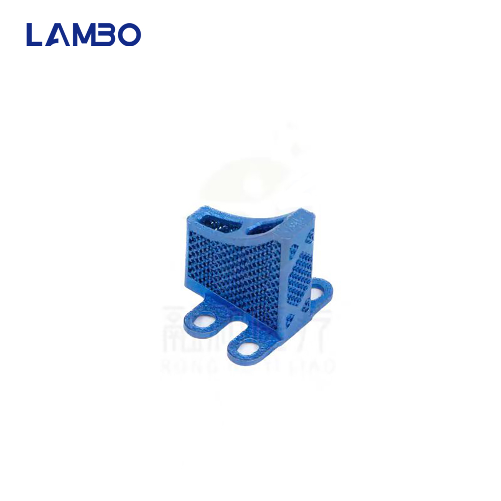 3D Printing TTA System Cage Bo - 3D Printing Orthopedics avis et prix